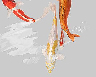 《福尔摩斯：觉醒重制版》游戏介绍 明年2月发售